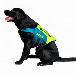 KAMIZELKA DLA PSA [L] Jobe Pet Vest Lime Tea 20635 - 2