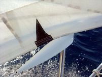 OSŁONA ŚCIĄGACZA RELINGOWEGO OCEAN 12454  - 4